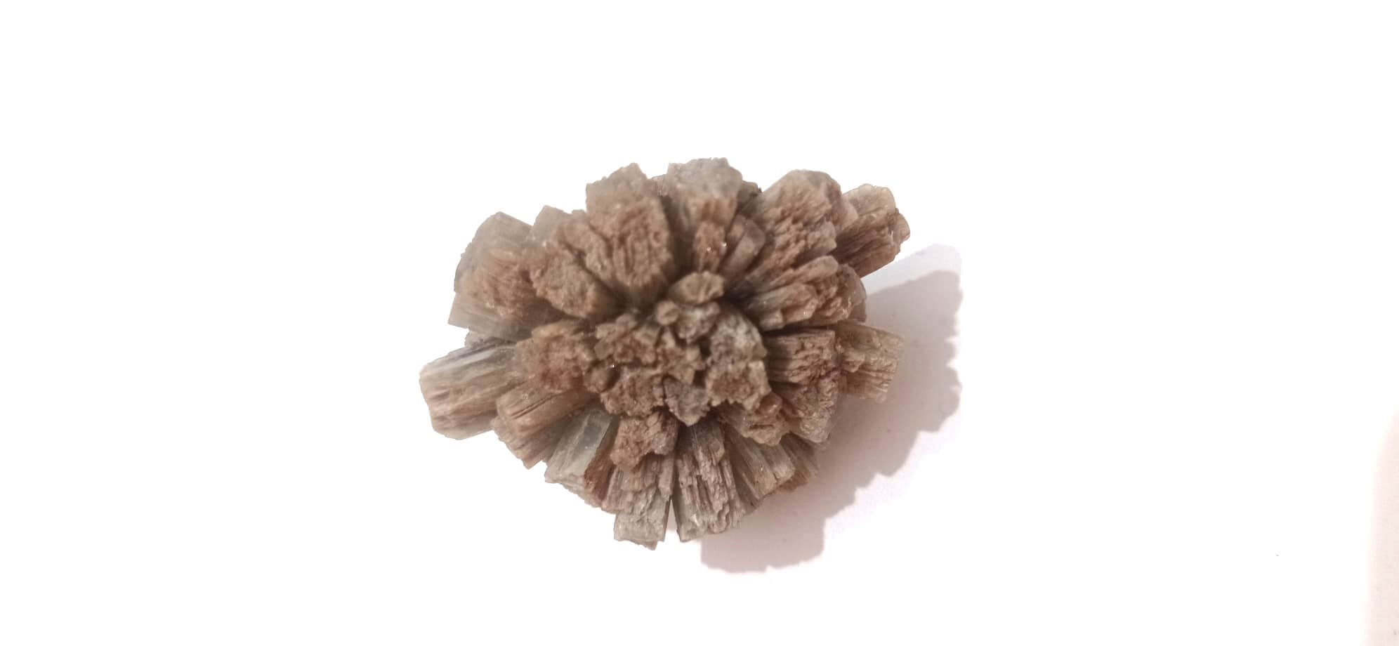 Mineral 8